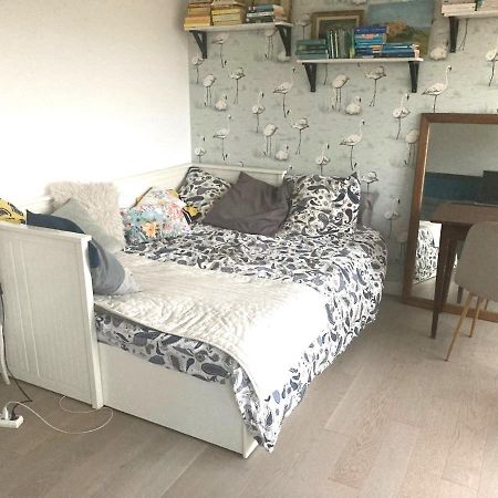 Appartement Lumineux 2 Chambres 西布勒 外观 照片